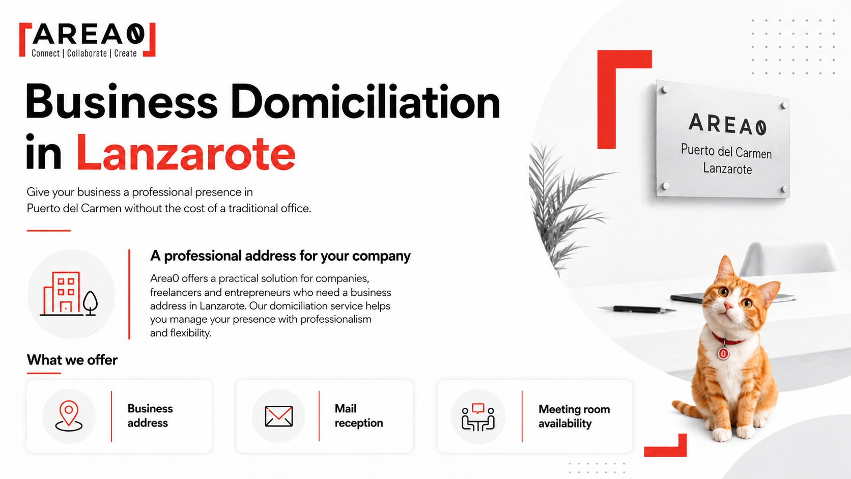 infografia_business